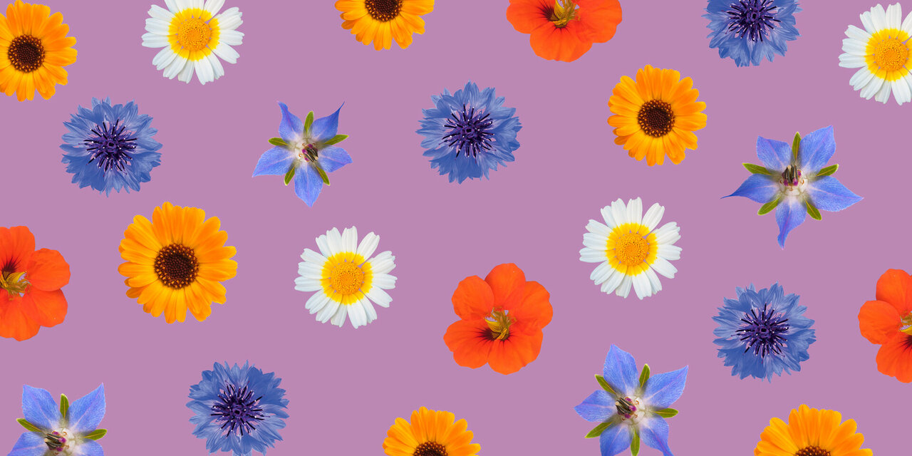 Biologische eetbare bloemen