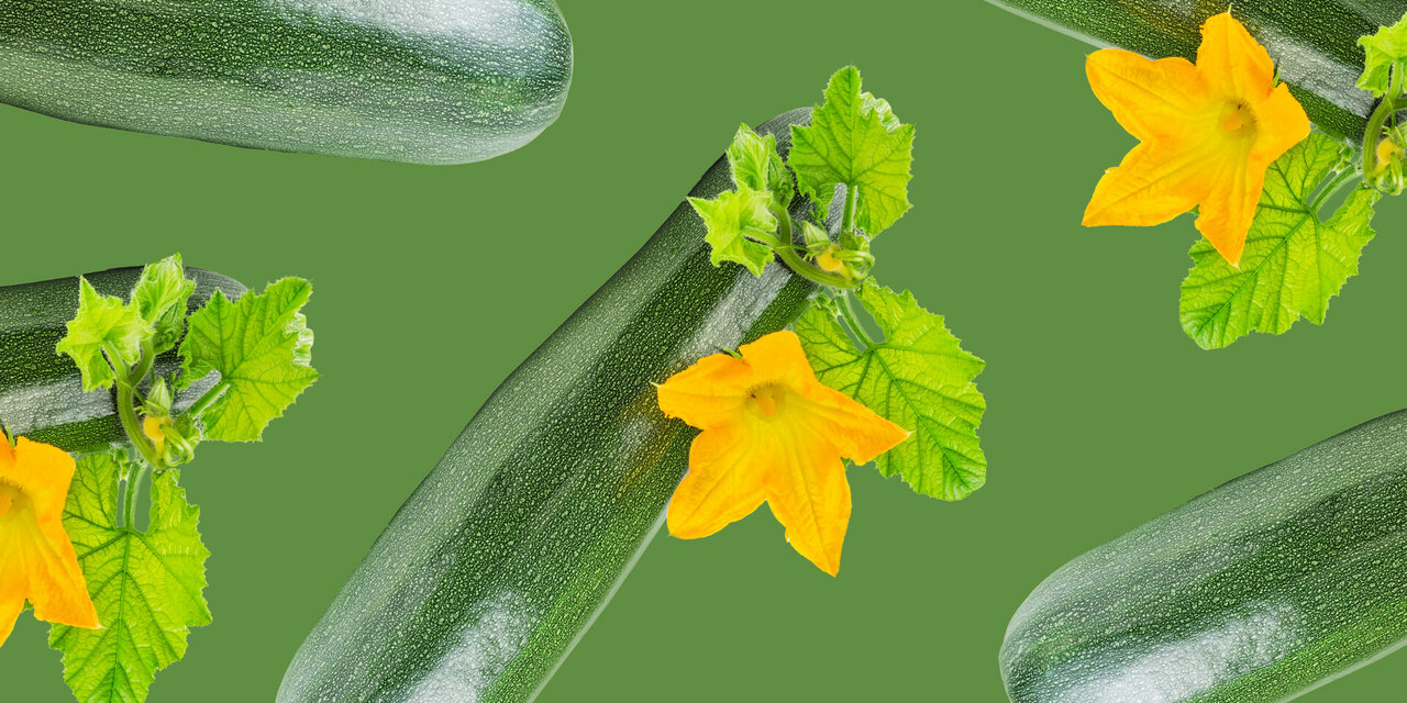 Courgette