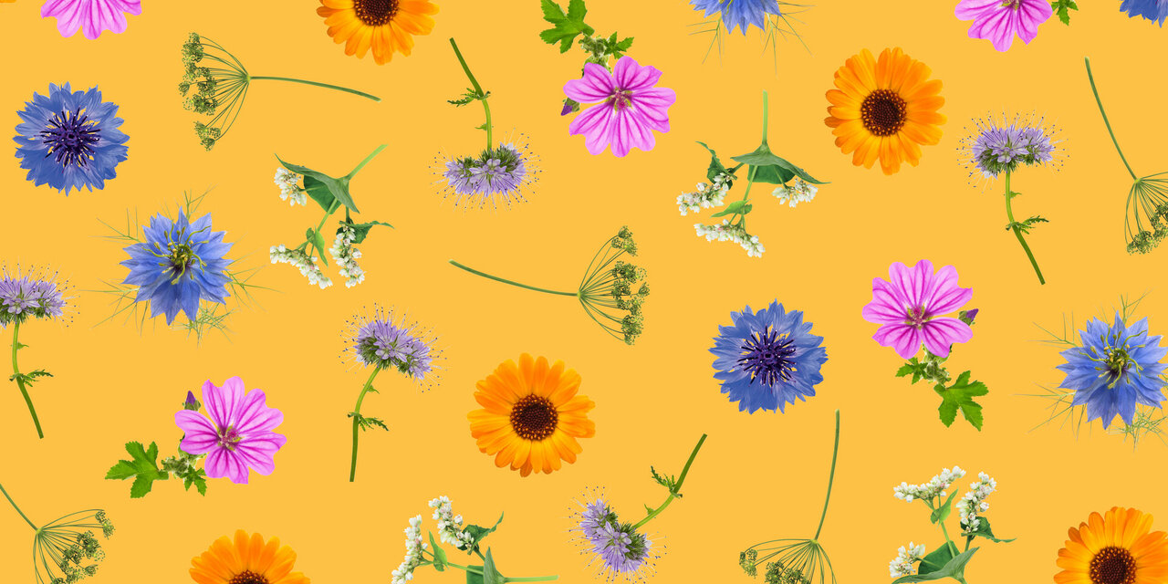 Biologische bijenbloemen