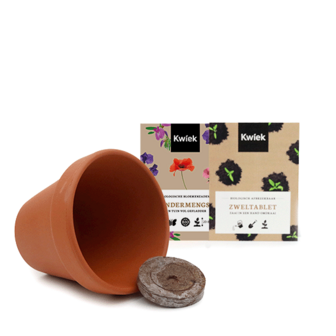 Biologische vlinderbloemen zaden in terracotta potje - Kwiek PootPotje