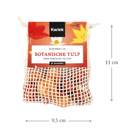 Netzakje tulpen - Maatgeving