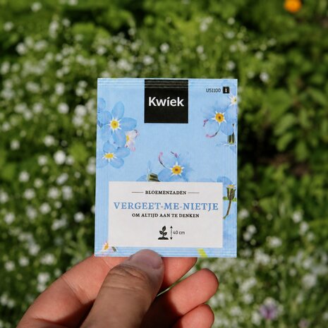 Kwiek vergeet-me-niet foto in veld