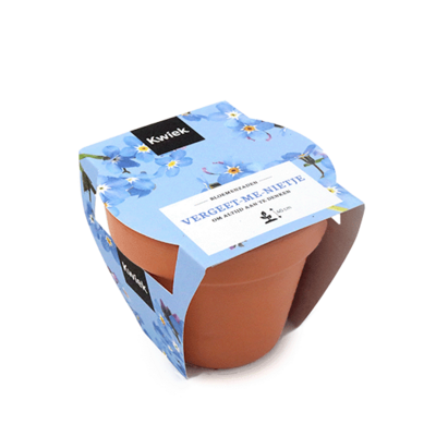 Vergeet-me-nietje zaden in terracotta potje - Kwiek PootPotje