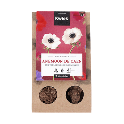 Kraft buideltje met 2 anemonen de Caen - Kwiek BloemBollen